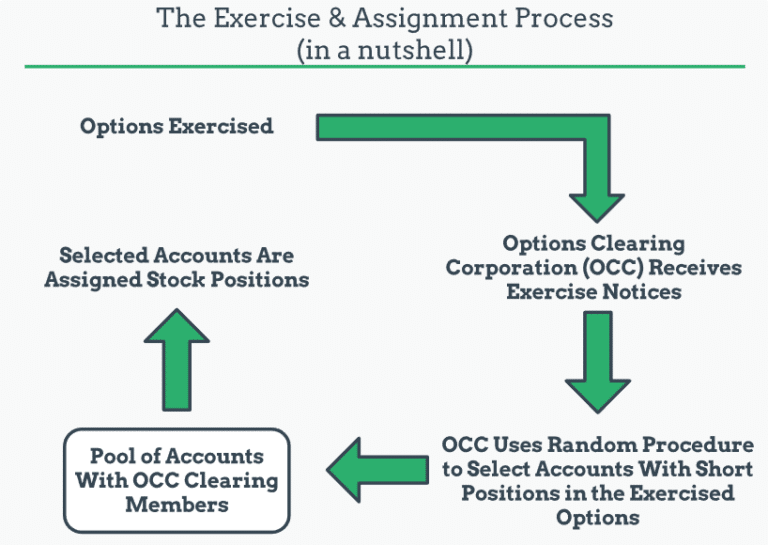 option assignment process